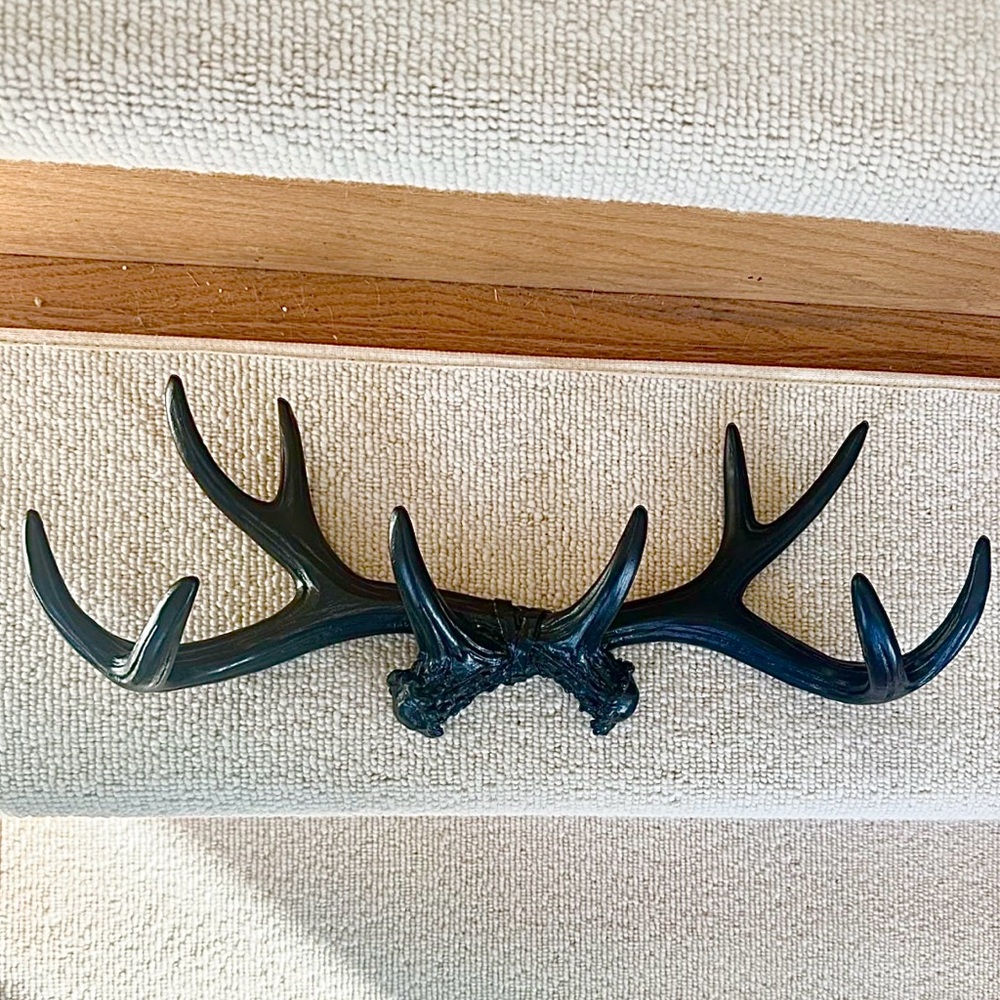 Black Antler Wall Decor
